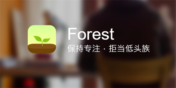 forest专注森林专业版