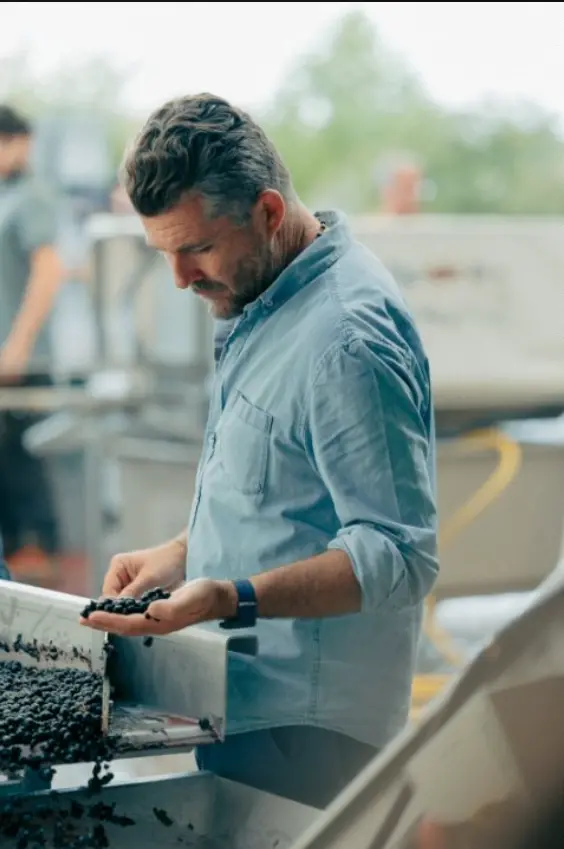 香奈儿旗下波尔多名庄2025非凡年份采收圆满收官