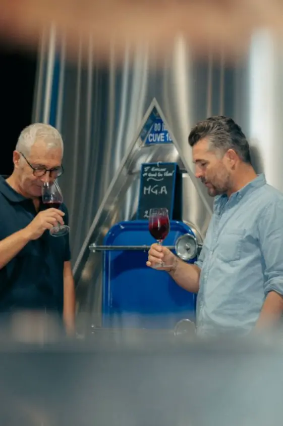 香奈儿旗下波尔多名庄2025非凡年份采收圆满收官