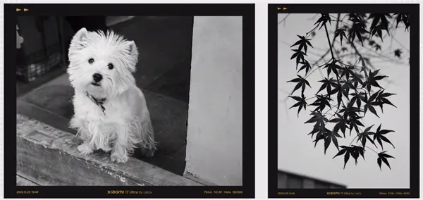 联名徕卡三年后 小米造了一台“不像小米”的手机