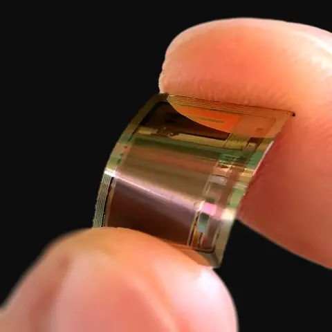 图丨BISC 芯片（来源：曾南宇）