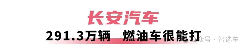 2025年车企销量盘点，比亚迪无敌，吉利有潜力，奇瑞赚外币？